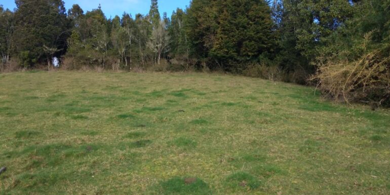 54dd9b6d-d615-431a-9244-e0c7d0181fd0