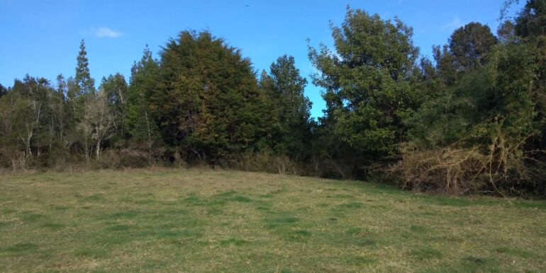 b1f1cb4e-38dd-4a62-b65b-6c9b5cc90602