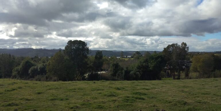 bf0c75ae-6fa9-41e0-893e-5f5c647e6a45